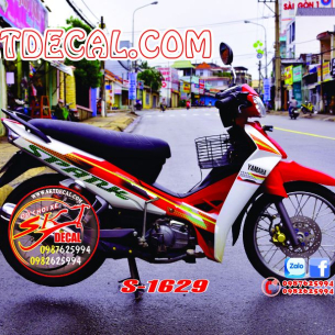 tem-trum-xe-sirius-trang-do-spark-1629