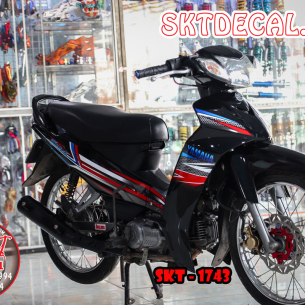 tem-xe-sirius-do-den-chi-b