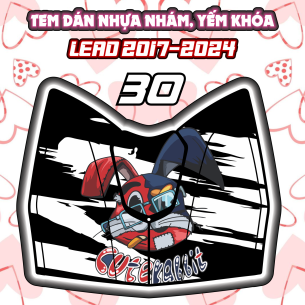 tem-dan-yem-khoa-nhua-nham-xe-lead-2017-2024