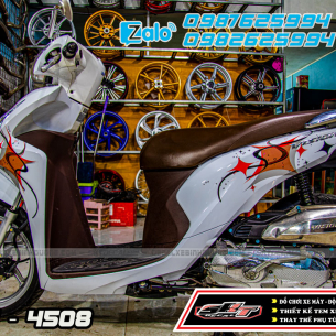 tem-trum-xe-vision-2015-trang-hoa-van